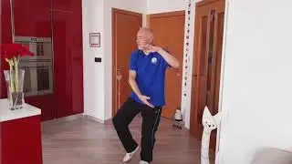 Taiji Quan Forma 8 AFFERRARE LA CODA DEL PASSERO
