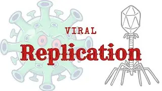 Viral Replication