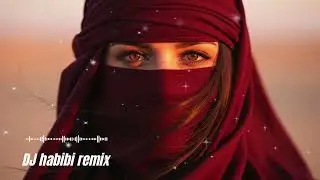 Habibi Remix Oasis | Top Arabic Chill & Romantic Beats