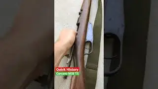 Quick History Carcano M38 TS #shorts