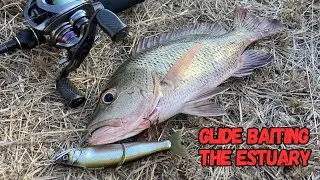 GLIDE BAITING for JACKS!! | Land based estuary fishing