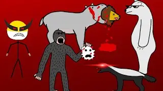 Animals That Will Crash Out And Destroy You Just Because
