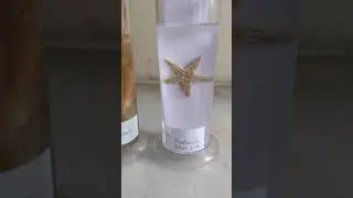 Starfish and Labeo fish Spotting for Biology Class XII Practical