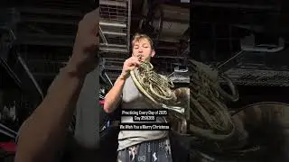 #horn #frenchhorn #band #orchestra #brass #windinstrument #music #musician #practice #challenge #fyp