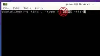 How to find a file in Linux Shell terminal
