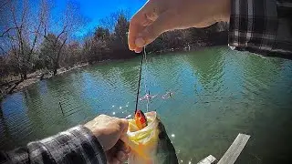 Fishing A Crystal Clear Pond ( Searching For Giants ) ( Alvarado Texas )