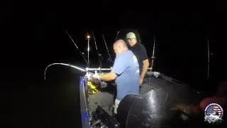 Eating bugs and catching fish (Night Trip On The Tennessee River)