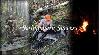Successful Deer Hunt / Mansfield ADA Trip / Victoria 