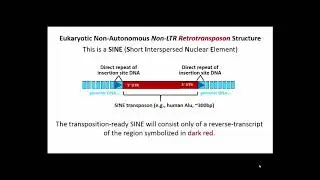252 SINEs (Short Interspersed Nuclear Elements): Non-LTR Retrotransposons