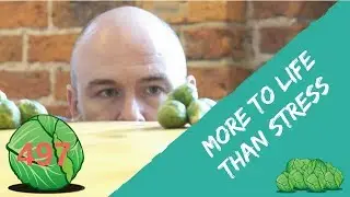 Why I do the daily sprout | daily sprout  496