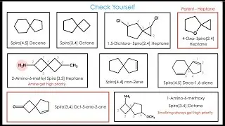 How to Name Spiro Compounds ? 🕐🕵| IUPAC Name | One Minute Chemistry