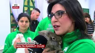 IL-FNIEK ISERVU TA’ TERAPIJA GĦAT-TFAL