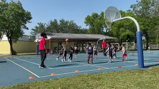 Damien Thompson  Jr, Basketball