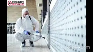 Commercial Pest Control Canberra | Commercial Pest Control in Canberra