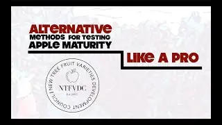 Alternative Methods for Testing Apple Maturity Like a Pro