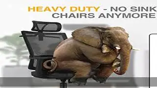HOSALI Office Chair Cylinder Replacement,Heavy-Duty Gas Lift Cylinder Fits Most Chairs,Highest End