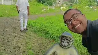 A Garden Vlog Nearby My Home @chadtag 