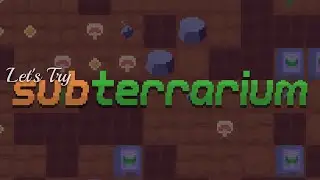 Let's Try: Subterrarium