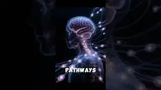 Neuroscience Explains Spiritual Awakening