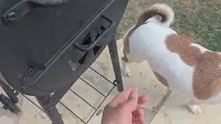 Good For Everyday Use Grill Char-Griller