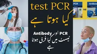 PCR test kya hota hai, antibody test se kya farq hai