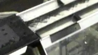 1st test - topminnow swim tunnel.AVI