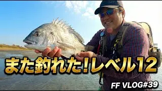 浜名湖の黒鯛フライ、ついにレベル12へ。執念の1匹と、帰りの「さわやか」で感じた孤独