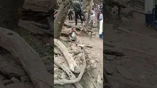 Viral funny videos shorts monkey taking baby water bottle and drinking at gina cave Kodaikanal