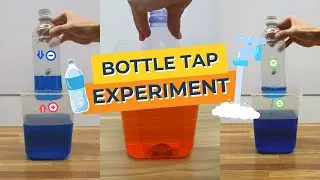 Easy Bottle Experiments You Can Try at Home!