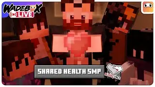 🔴  Expanding the base with Create! | Bloodpact SMP