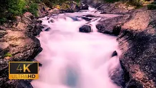 4K Beautiful Nature | Sleep with Relaxing Music - Sleep, Study or Meditate #RelaxAnywhere