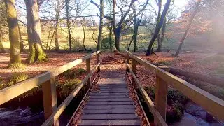 Golitha Falls River Walk | Cornwall in Autumn | 4K Tour