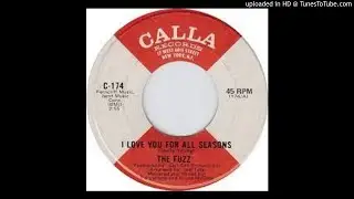 THE FUZZ - I LOVE YOU FOR ALL SEASONS