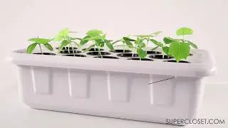 SuperCloset and SuperPonics - The World's Best Fully-Automated Grow Systems