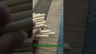 Bevel Reed Straws | Thereedstraws.com