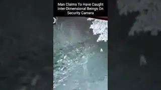 Inter-Dimensional Beings Caught on Camera?