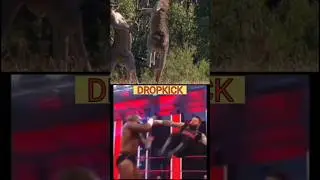 The Best Animal MMA Instinct #mma #wwe