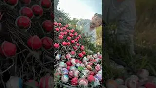 Survival Skills: SIMPLE and USEFUL with CANDY and Ants #bushcraft #camping #outdoor #candy #ants