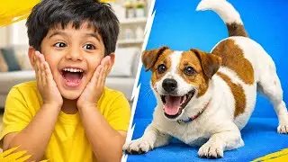 My Son & Our Dog Funny Moments | Cute Dog Playing With Kid | Family Fun Video