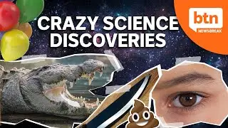 The Weird and Surprising of Scientific Research, The Ig Nobel Prize