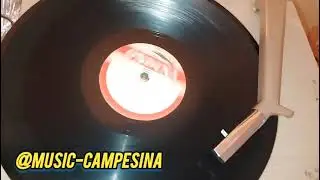 El soltero Conchero -Trio Monterey #musicacampesina #viraalvideos #discosdevinil