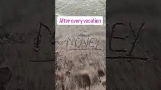 When Travel Hits Your Wallet Hard 🌊🚢