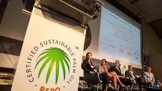 RSPO European Roundtable 2016: Conference Film