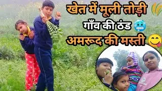 आज इतनी ठंड में खेत में मूली तोड़ने गए 🌾❄️🥶 | Village Life Vlog  #DailyVlog #VillageLife
