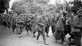 German SS Troops Laughed at the Strange Alliance, Until an American Tank Arrived