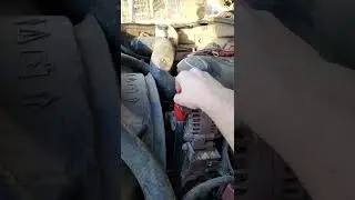 How to get rid of a squeaky alternator belt noise 🤣🤣🤣