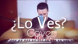 ¿Lo Ves? - Alejandro Sanz - Cover: Lisandro Chacin