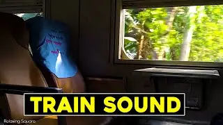Train Ambience Sounds for Relaxing Train Journey Ambient Sounds