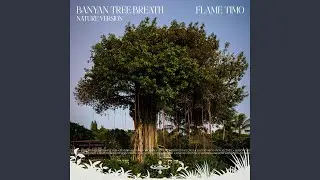 Banyan Tree Breath (Nature) (feat. Sensory Meditation, Nina Nalo, Jasper Whisper, Alma Lin &...