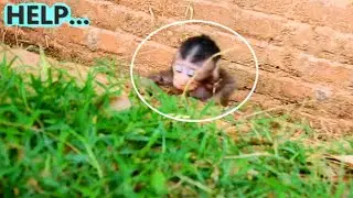 [DEEPLY SAD] POOR BABY LONELY SAD AND MUM LESS CARE...TINY BOBBY PLAY AND JUMP NEARLY FALL DOWN.